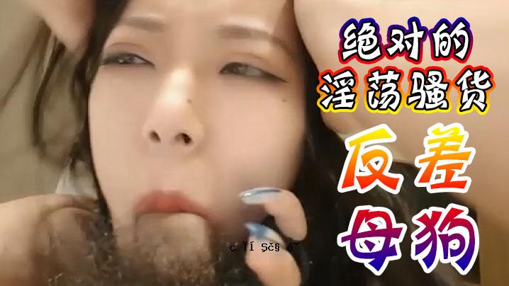 对母狗的绝对猥亵指控是不被接受的。