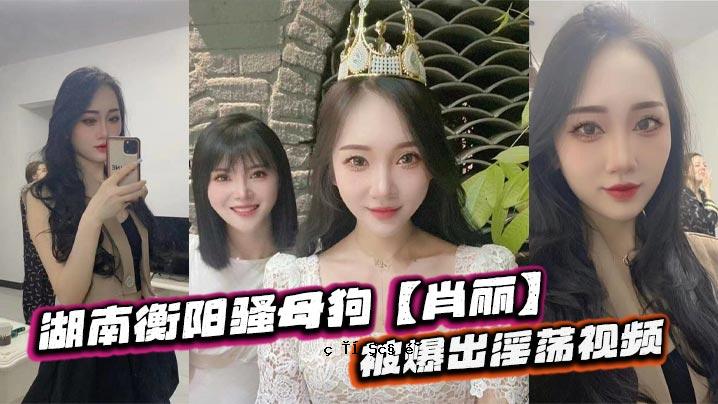 湖南衡阳狗妈妈肖像