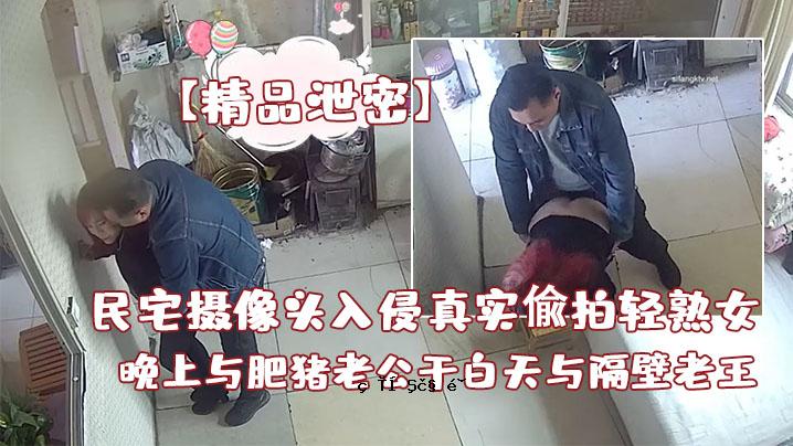 粪便的本质是白色的天空和老王的隔墙。