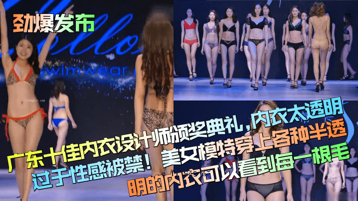 内衣是透明的，内衣是透明的，但是禁止感觉色情的美女以特殊的穿孔为蓝本，每一种半透明的内衣都允许每次看到。