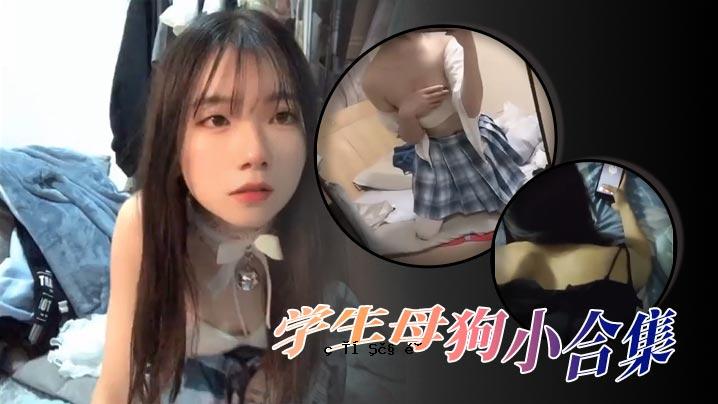 高颜学生、小型犬精选合集
