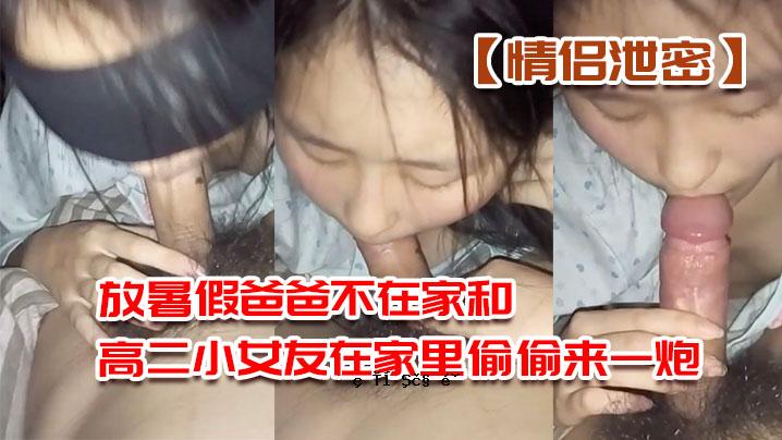 激情排泄，秘密放热，父亲缺席，高中女生，二年级女友，村里的居民，还有朋友来到村里。