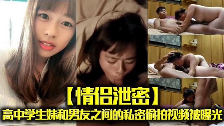 高中生、妹妹一夫和朋友之间的私人故事。