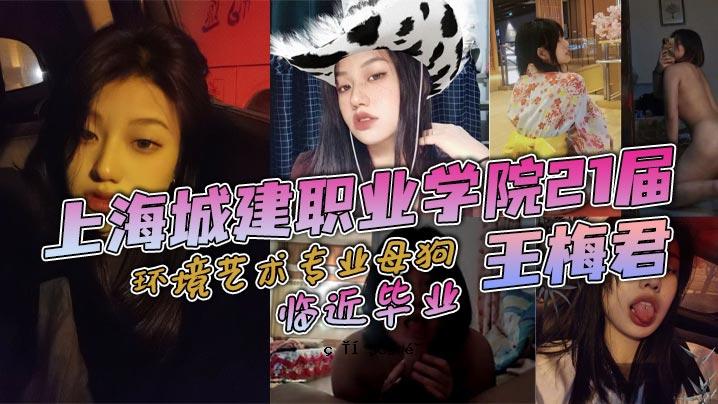 上海市建筑工业学院21报告 环境 环境 工业 工业 母狗 王美君 临 就近工业 我在大学里有足够的勇气走路和看课文，我只是走路和自己玩耍，到目前为止我已经能忍受了。