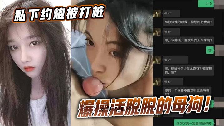 我是一只被攻击、被攻击的狗妈妈。