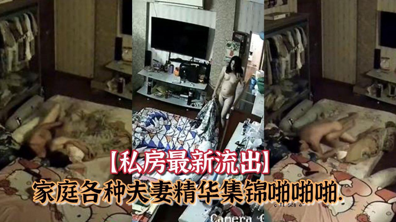 最新泄露包房黑客摔倒雕像头偷拍家用各类夫妻合集锦啪啪