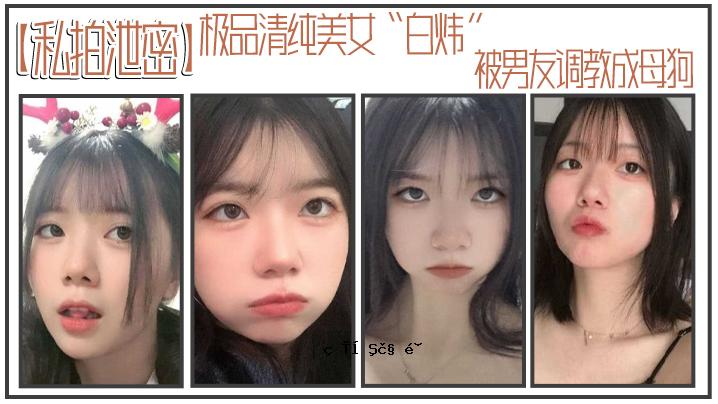 我是白煮的清纯美女，和狗妈妈有男性友情，不假思索。