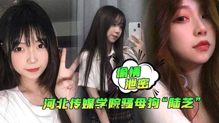 秘密河北传媒学校的秘密，狗妈妈、柴犬、男友、兄弟、三人行、前后、猥亵、十尺