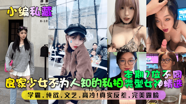 短篇小说：私有财产、良家少女、非法人、知识分子、个人殴打、第七名、异类、选择的女神、纯欲之学、高、冷、真实、对立、完美之美、暴露