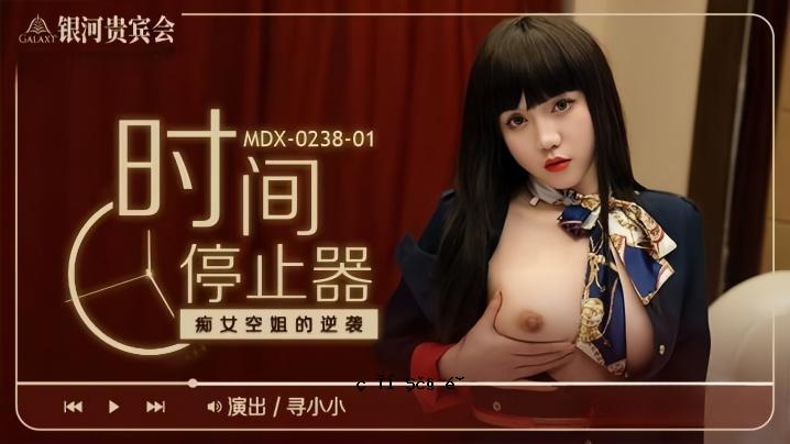小小MDX0238-1时间停止装置