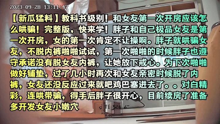 新瓜教育教程书 单独日本女友 开井学完全版 初学入门指南