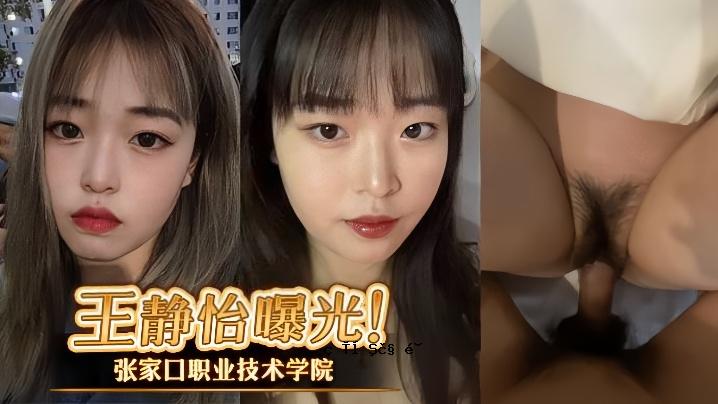 王静怡 张家口职业技术学院