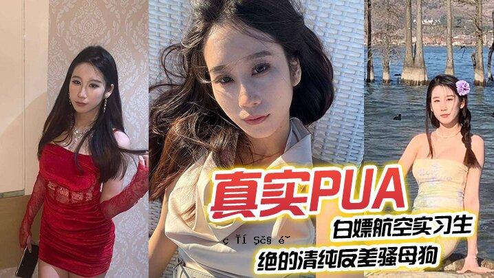 事实是，PUA 飞机是完全纯净的。