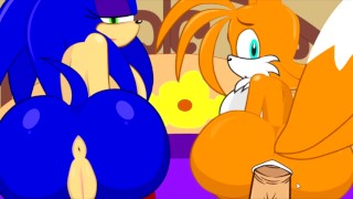 SonicTransform2 无尽动画